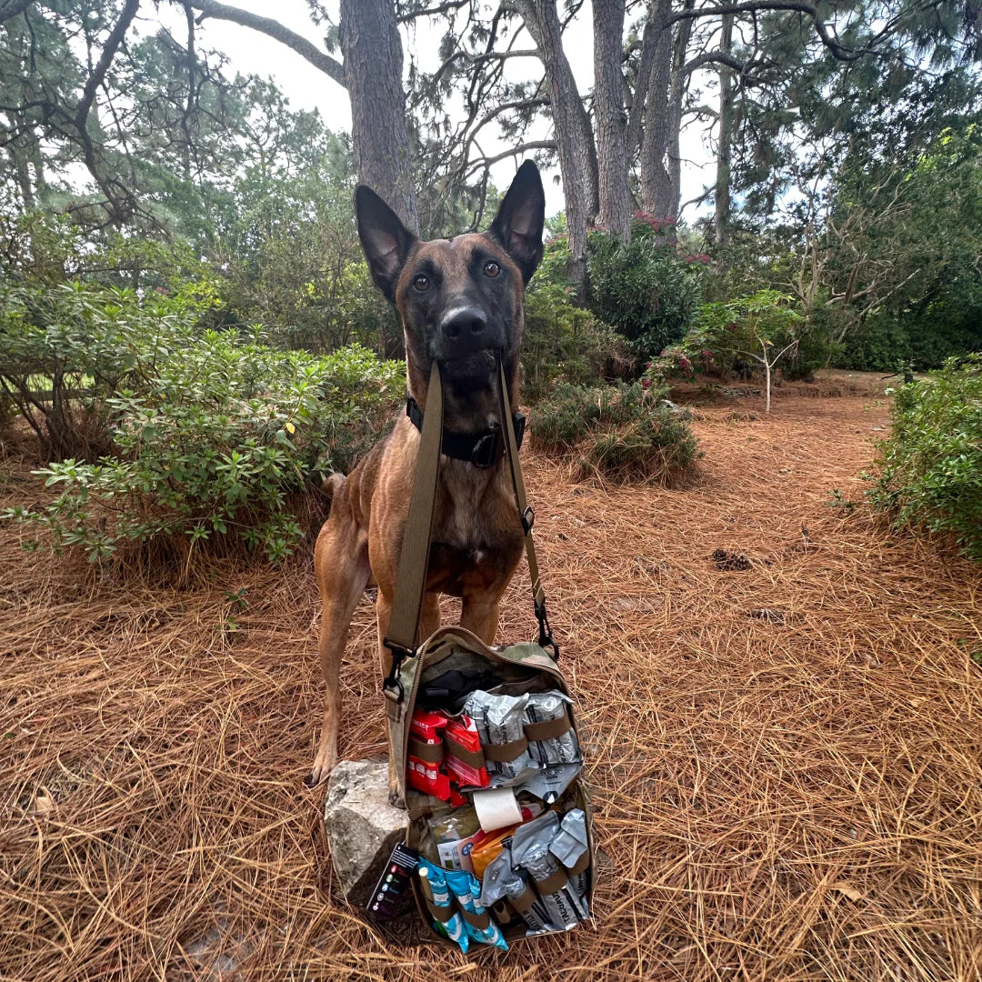Working Dog First Aid Kit